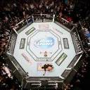 The Octagon Picks
