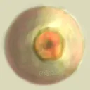 Birch Polypore's Server
