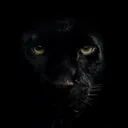 TheDarkPanther's Den