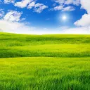 The Grass Lands