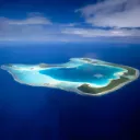 REEF Society