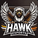 HAWK ESPORTS icon