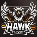 HAWK ESPORTS