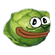 Cabbage Crew