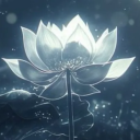 Life Discord server icon