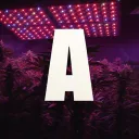 🔫 I Illégal Alésia - Saison 3