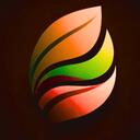Eco Coast Designs Discord Server Icon