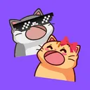 Catos💜