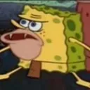 Bikini Bottom