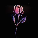 𝙎𝙓𝙔