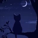 ๋᳝ - ̗̀ 𖥻 🔥 The Moonlight Cats ˙ꈊ˙ 🔥   ̖́-    ִֶָ ꜝ