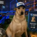 𝓟𝓮𝓷𝓭𝓮𝓳𝓪𝔃𝓲𝓸𝓼