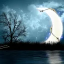 THE MOON SERVER