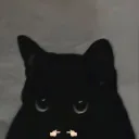 ふりさば