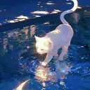 Ведро котят🐾