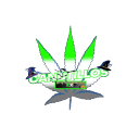 Discovery icon for Canutillos Extremeños Discord server