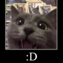 :D
