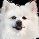 BMKDiscord