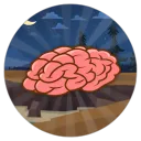 Mentality Camp™﹒ 𝐒𝟏𝟏