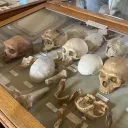 LPC Anthropology club