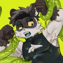 Ferret Store