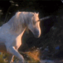 A Mythical's Paradise