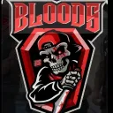 🩸 Bloods⚔ Bucharest County