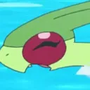 Flygon’s Cove