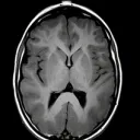 Neuro Match 2025