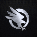 BLACK RAVEN ESPORTS