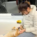 麥田圈