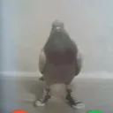 Qwexhy Che4TS