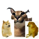 Tripulação dos  crias do meme sea