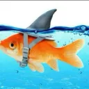 Goldfish_24’s Server
