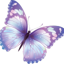 Andromeda avatar