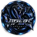 Vipers eSport  V|eS Discord server icon