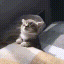 VOID Discord server icon