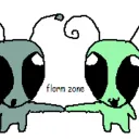 THE FLORM ZONE