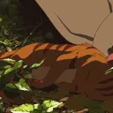 ⟢Lily Pad⟣