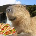 CAPYBARA FAN BASE