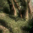 Yume Meadow ! 🌼 (16+)