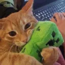 Vob's ModPack Support