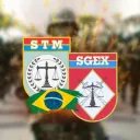 STM-SGEx
