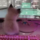 𝗁ɣρ౿𝗋ᑯ౿ɕɑɣ