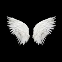 Broken Wings • 0.3𝙺