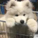 @Ukiyo