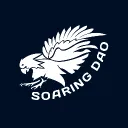 Soaring Dao