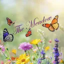 The Meadow