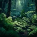 The Amazon