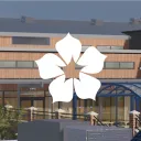 Bluebell Secondary School